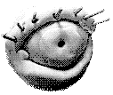rainyatrium.pages.dev favicon
